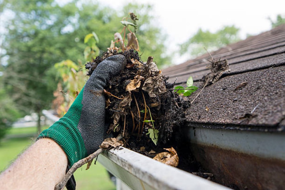 Hand-removing compacted debris and organic buildup